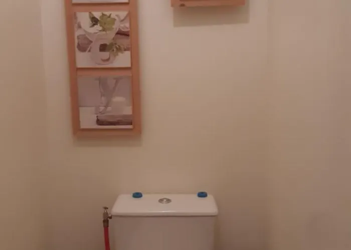 Le 47 Single 住宿加早餐酒店 勒芒